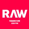 Paradox Flow & Jesen Pyro - Raw